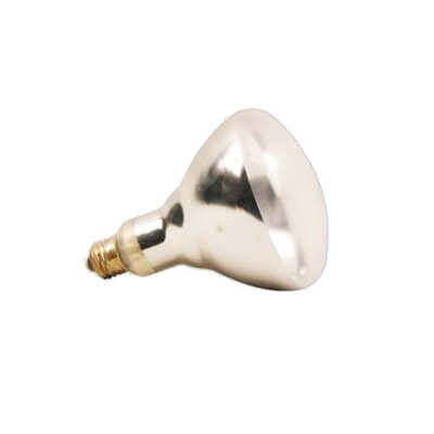 Coated Heat Lamp bulb