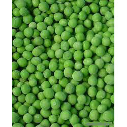 Peas Fancy #10